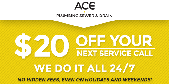 $20 Off Coupon